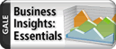 BusinessInsightsEssentials